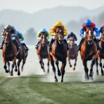 découvrez comment maximiser vos gains lors des meetings d’hiver à cagnes-sur-mer grâce aux angles rentables.